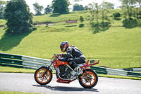 cadwell-no-limits-trackday;cadwell-park;cadwell-park-photographs;cadwell-trackday-photographs;enduro-digital-images;event-digital-images;eventdigitalimages;no-limits-trackdays;peter-wileman-photography;racing-digital-images;trackday-digital-images;trackday-photos